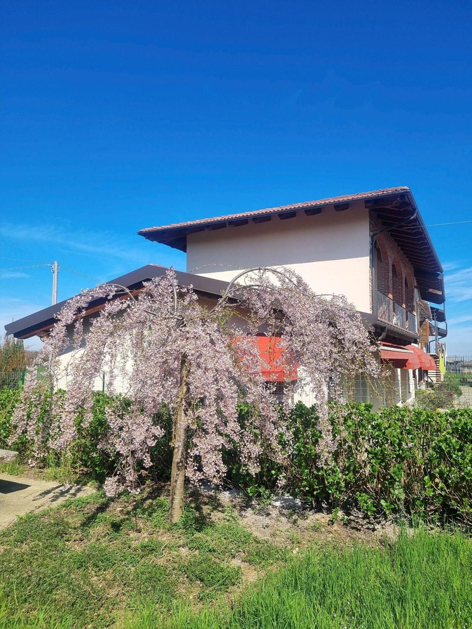 Cascina La Demilana Bed and Breakfast Bibiana Eksteriør billede