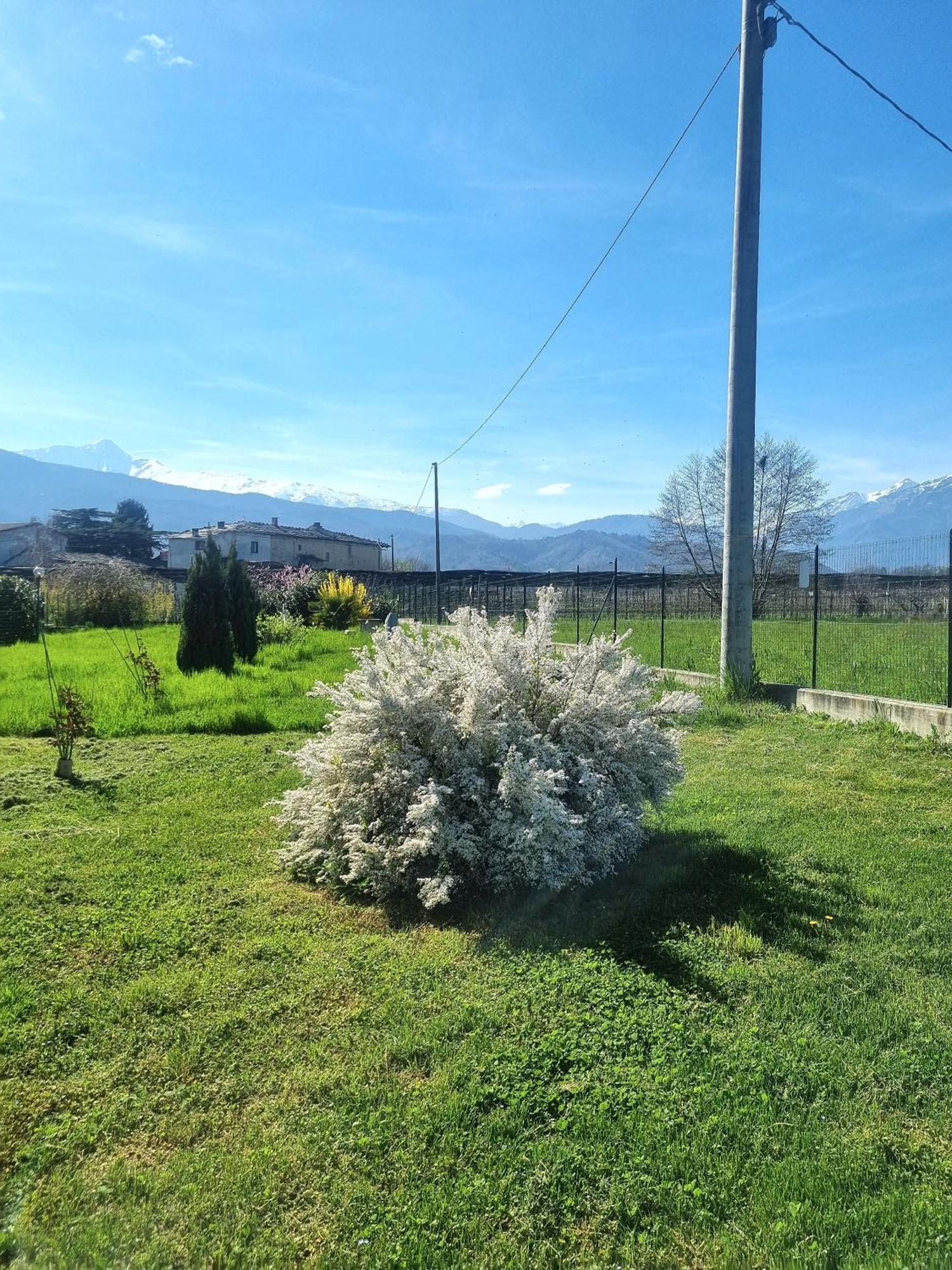 Cascina La Demilana Bed and Breakfast Bibiana Eksteriør billede
